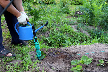 Similar image 21917038