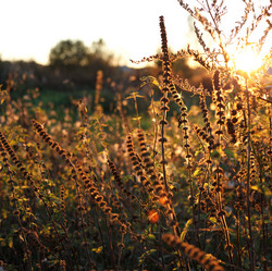 Similar image 21934259