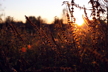 Similar image 21934260