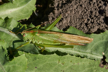 Similar image 21911505