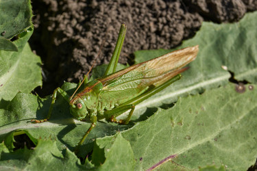 Similar image 21911742