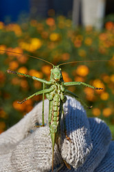 Similar image 21911744