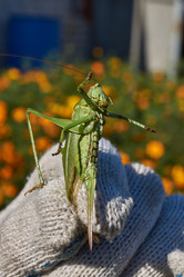 Similar image 21914231