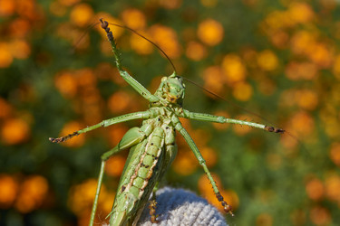 Similar image 21916405