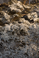 Similar image 21947612