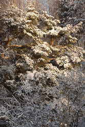 Similar image 21947614