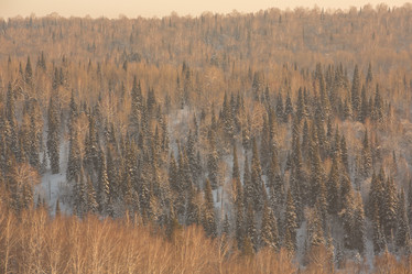 Similar image 21947802