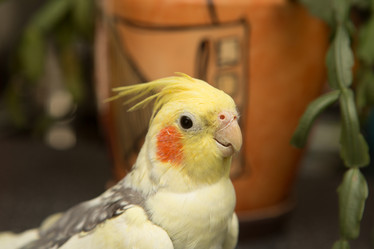 Similar image 21948126