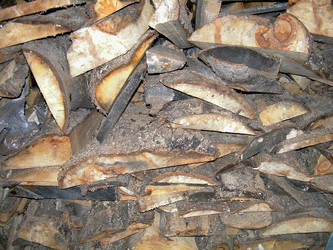 Similar image 21912011