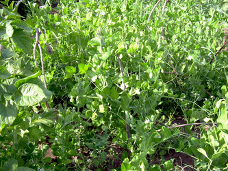 Similar image 21912013