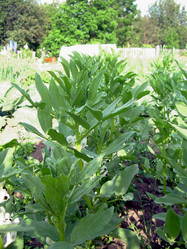 Similar image 21912014