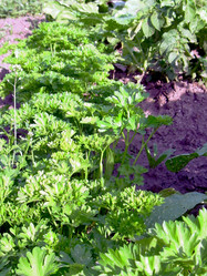 Similar image 21912015