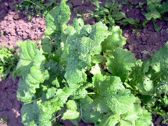 Similar image 21912016