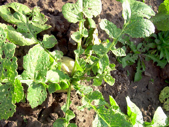 Similar image 21912017