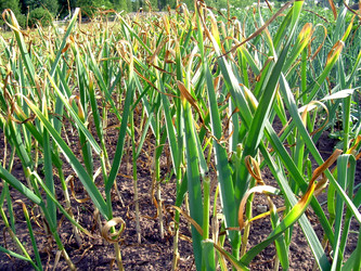 Similar image 21912020