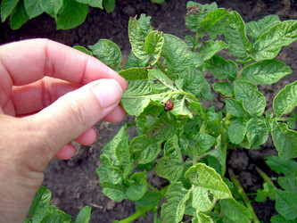 Similar image 21912021