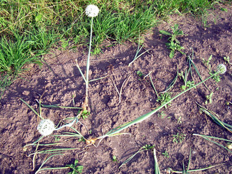 Similar image 21912022