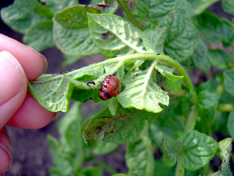 Similar image 21912023