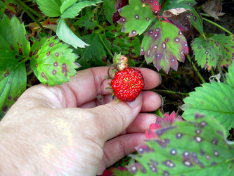 Similar image 21912024