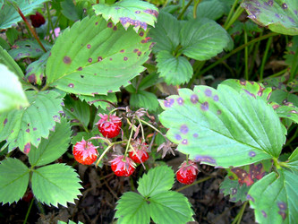 Similar image 21912025