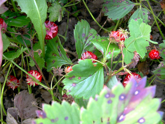 Similar image 21912026