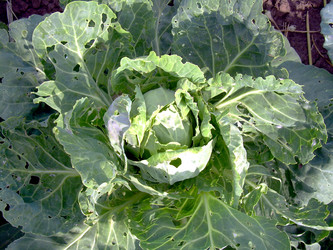 Similar image 21912027