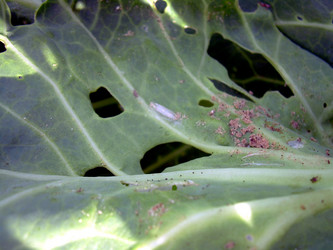 Similar image 21912028