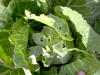 Similar image 21912030