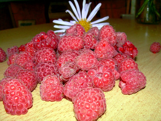 Similar image 21912031