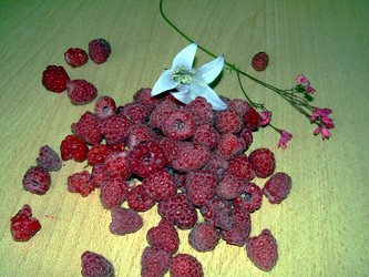 Similar image 21912032