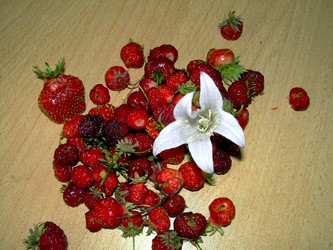 Similar image 21912034