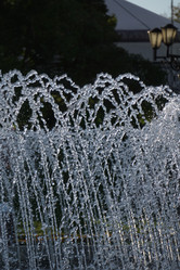 Similar image 21911469