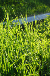 Similar image 21911745