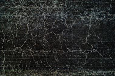 Similar image 21913431