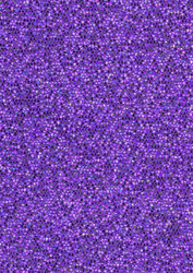 Similar image 21913437