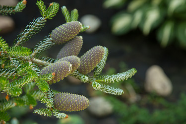 Similar image 21913696