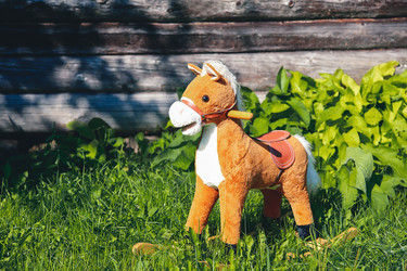 Similar image 21913701