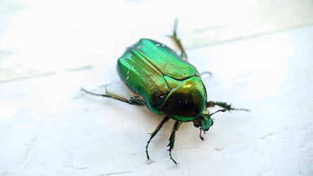 Similar image 21913707