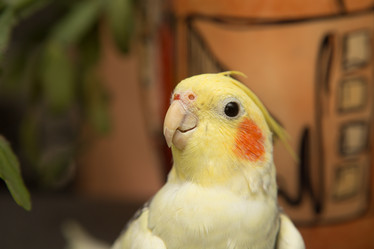 Similar image 21947375