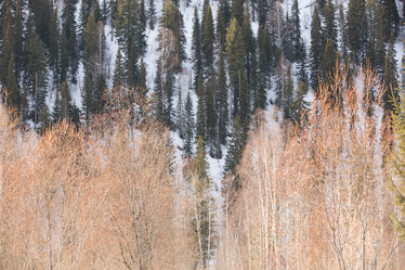 Similar image 21948129