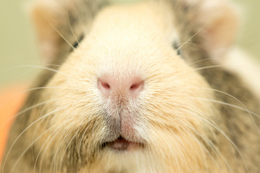 Similar image 21948133