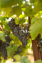 Similar image 21948141