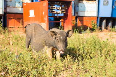 Similar image 21948145