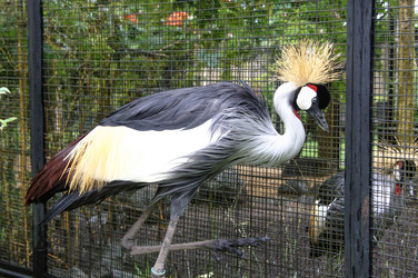 Similar image 21948146