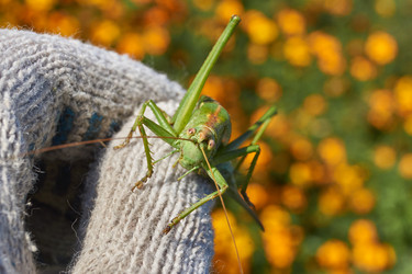 Similar image 21916406