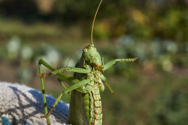 Similar image 21911747