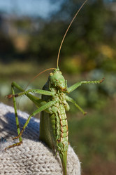 Similar image 21911576