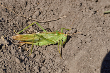 Similar image 21916407