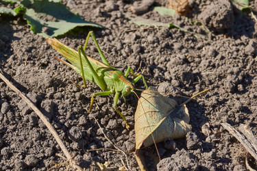 Similar image 21911748