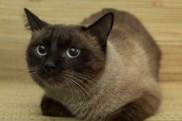 Similar image 21947624